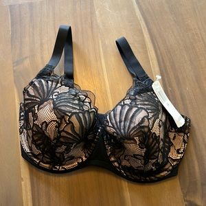 NWT PARAMOUR tempting bra lace on nude